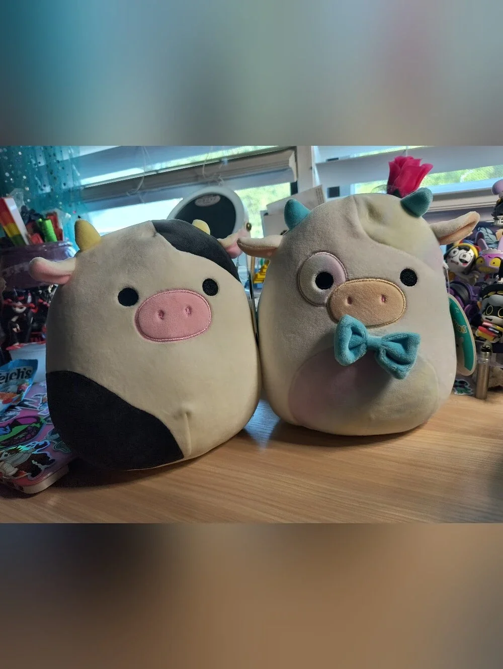Squishmallow Cow Bundle